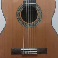 گیتار آریا ak30