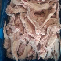 بال و کتف منجمد