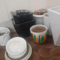 گلدون و زیرگلدون|گل و گیاه طبیعی|قم, امامزاده ابراهیم|دیوار