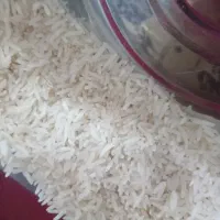 برنج فجرامساله|خوردنی و آشامیدنی|گرگان, |دیوار