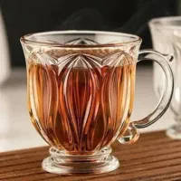 فنجان و نیم لیوان نوری تازه