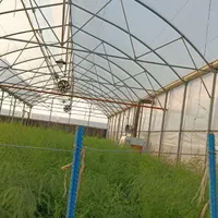نصب گلخانه|خدمات پیشه و مهارت|تربت جام, یحیی آباد|دیوار