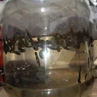 آموزش پرورش زالو|خدمات آموزشی|تبریز, |دیوار