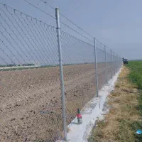 نصب و اجرای فنس کشی، سیم خاردار|خدمات پیشه و مهارت|شیراز, شهرک صنعتی شیراز|دیوار