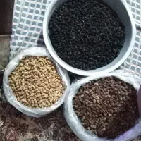 توت خشک خوب