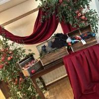 خدمات بادکنک آرایی ، تزیین شب یلدا ، کریسمس