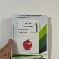 فروش انواع بذر گوجه فرنگی و هندوانه و پیاز