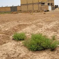 زمین 1000 متری شاپور جان|فروش زمین و ملک کلنگی|شیراز, شاپورجان|دیوار