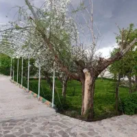 باغ-ویلا-سند-دار