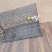 قفس حرفه ای غلامی در حد نو|لوازم جانبی حیوانات|شهرضا, |دیوار