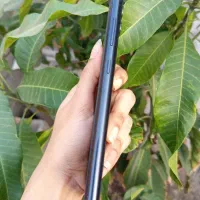 گوشی a04|موبایل|میناب, |دیوار