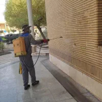 سمپاشی سوسک کابینت ،ساس ،موریانه|خدمات نظافت|دزفول, |دیوار