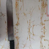 چاقو مرغ خورد کردن