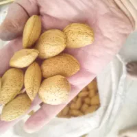 بادام درختی|خوردنی و آشامیدنی|تهران, جنتآباد جنوبی|دیوار