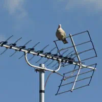 نصب وراه اندازی آنتن‌ها ثابت و گردون|خدمات پیشه و مهارت|اسلام‌شهر, باغ فیض|دیوار