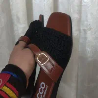 صندل مجلسی رو فرشی بیرونی|کیف، کفش، کمربند|مشهد, شهید قربانی|دیوار