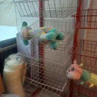 استند سوپر مارکتی|کتابخانه، شلف، قفسههای دیواری|کرج, گلشهر|دیوار