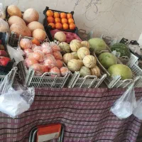تمامی وسیله های میوه فروشی بفروش می‌رسد