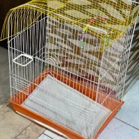 قفس پرنده و خوراک عروس هلندی