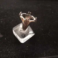 انگشتر نقره رزق و موک