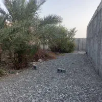 رودان (ابنما)