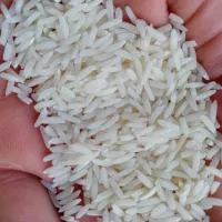 برنج هاشمی