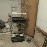 قفس عروس هلندی 1033کاسکویی طوطی برزیلی نو و آکبند