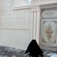 کاشی کاری|خدمات پیشه و مهارت|دهدشت, |دیوار