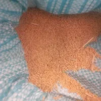 گاورس
