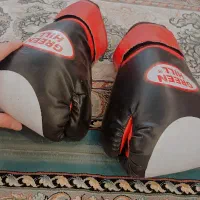 سالم