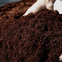 خاک باغچه کیسه ای 50 کیلو فقط 60 هزار|خدمات باغبانی و درختکاری|زاهدان, |دیوار