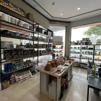 فروشنده خانم یا آقا مسلط به برنامه اینستگرام