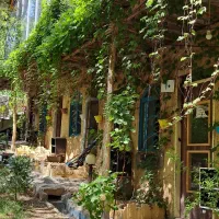 نیروی سالندار مرد مجرد و مجرب|استخدام خدمات فروشگاه و رستوران|یاسوج, |دیوار