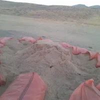 فروش کاه نخود و کاه لوبیا