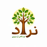 طراحی و اجرای دکور داخلی