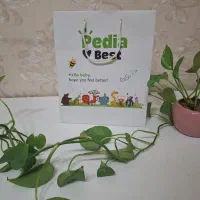ساک دستی آماده
