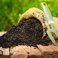 کود ارگانیک