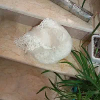 تور والیبال
