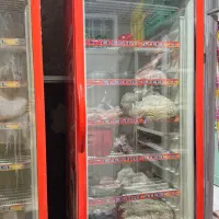 فریزر ایستاده الکترواستیل