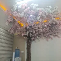 اجاره اتاق در مرکز لیزر و زیبایی با مسئول فنی