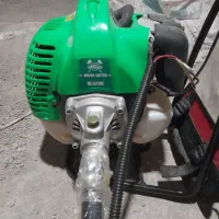 علف زن