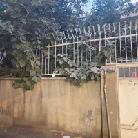 فروش زمین ۲۱۶ متری بر ۱۲ امیرآباد شمالی|فروش زمین و ملک کلنگی|تهران, قزل قلعه|دیوار