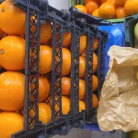 میوه درجه یک و عالی با قیمت مناسب