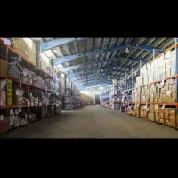 استخدام نیرو در گمرک