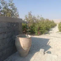 باغ در بیضا|فروش خانه و ویلا|بیضا, |دیوار