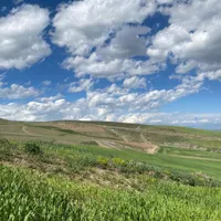 مسکن ملی