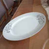 دیس پلوخوری