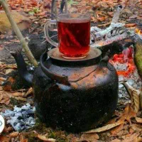 تهران ، باغ ، مشرف به رودخانه رندان|فروش زمین و ملک کلنگی|کن, |دیوار