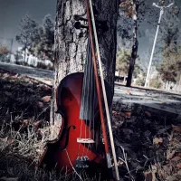 ویولن درحد نو