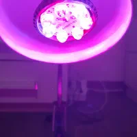 لامپ رشد گیاه